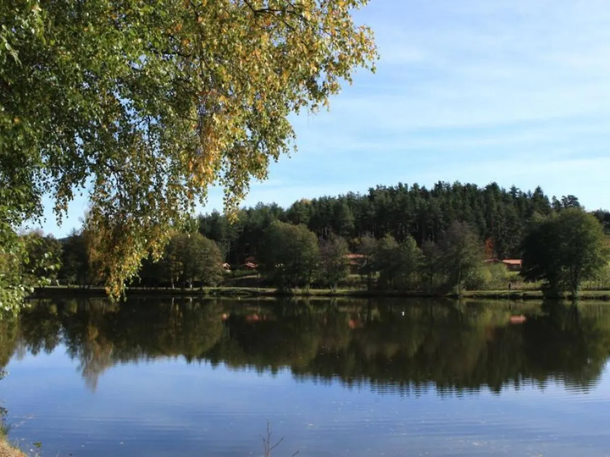 Gite Avec Cheminee, Terrasse Et Wifi - Animaux Acceptes - Fr-1-496-163 Usson-en-Forez France